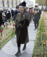Opening of Field of Remembrance in London 