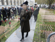 Opening of Field of Remembrance in London 