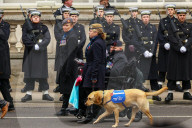 Prime Minister Keir Starmer attends Remembrance Sunday