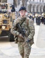 Lord Mayor's Show, Royal Courts of Justice, London, UK.