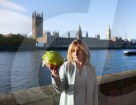 The Last Days of Liz Truss in London, UK.