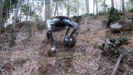 Wheeled robot for off-road work can  also stand on two legs