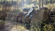 Lynx, le nouveau chien robot tout terrain, développé par la société chinoise DEEP Robotics