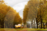 Special Military celebrations in London to mark the 76th birthday of His Majesty The King, Green Park, London, UK.
