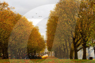 Special Military celebrations in London to mark the 76th birthday of His Majesty The King, Green Park, London, UK.