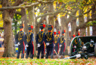 Special Military celebrations in London to mark the 76th birthday of His Majesty The King, Green Park, London, UK.
