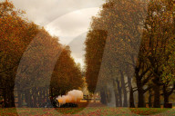 Special Military celebrations in London to mark the 76th birthday of His Majesty The King, Green Park, London, UK.