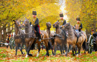 Special Military celebrations in London to mark the 76th birthday of His Majesty The King, Green Park, London, UK.