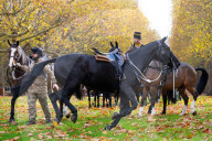 Special Military celebrations in London to mark the 76th birthday of His Majesty The King, Green Park, London, UK.