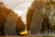 Special Military celebrations in London to mark the 76th birthday of His Majesty The King, Green Park, London, UK.