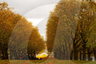 Special Military celebrations in London to mark the 76th birthday of His Majesty The King, Green Park, London, UK.