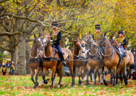 Special Military celebrations in London to mark the 76th birthday of His Majesty The King, Green Park, London, UK.