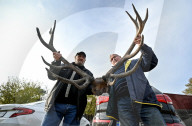 Hundreds-year-old deer antlers found in Ukraine