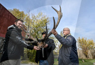 Hundreds-year-old deer antlers found in Ukraine