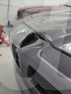 Un élan a détruit des voitures dans l'atelier de BMW en Suède