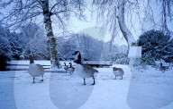 Autumn weather Nov 19th 2024