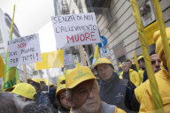 Sit-in L\'agricoltura non deve pagare per tutti organizzato da Coldiretti Piemonte
