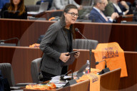 Seduta del Consiglio Regionale della Lombardia