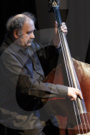 Michel Donato
