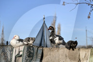 Evacuation of multi-child family from frontline Uspenivka in Zaporizhzhia region