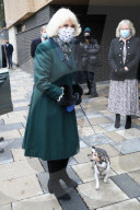 Duchess of Cornwall at Battersea Dogs and Cats Home