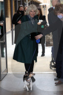 Duchess of Cornwall at Battersea Dogs and Cats Home