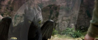 How To Train Your Dragon live action remake