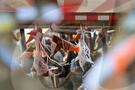 Third fair of veteran-owned businesses in Lviv
