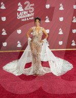 Latin Grammy Awards 2024: RED CARPET