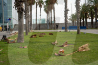 Barcelona - Strong winds in Barcelona