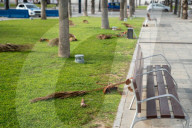 Barcelona - Strong winds in Barcelona