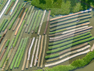 FEATURE - SN_FLOATING_GARDENS_01