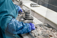 Seafood processing production complex in Zaporizhzhia, Ukraine