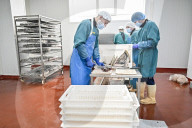 Seafood processing production complex in Zaporizhzhia, Ukraine