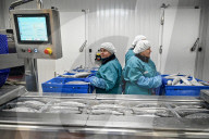 Seafood processing production complex in Zaporizhzhia, Ukraine