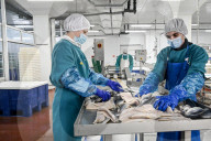 Seafood processing production complex in Zaporizhzhia, Ukraine