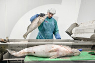 Seafood processing production complex in Zaporizhzhia, Ukraine