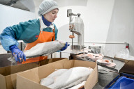 Seafood processing production complex in Zaporizhzhia, Ukraine