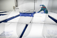 Seafood processing production complex in Zaporizhzhia, Ukraine