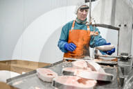 Seafood processing production complex in Zaporizhzhia, Ukraine