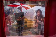 Macys of San Francisco festures adoptable kittens in their Christmas window displays