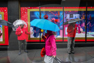 Macys of San Francisco festures adoptable kittens in their Christmas window displays