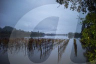 California hit by atmospheric river