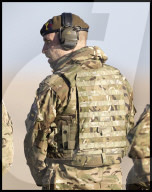 Prince William on Salisbury Plain