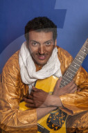 Bombino