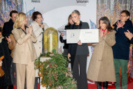 Lancement des illuminations de la rue du Faubourg Saint-Honoré à Paris le 26 novembre 2024.
