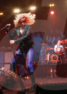 Amyl and the Sniffers