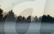 Frosty Weather in Letchworth, UK.