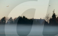 Frosty Weather hits UK