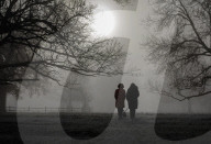 Foggy weather Bushy Park in London, UK.